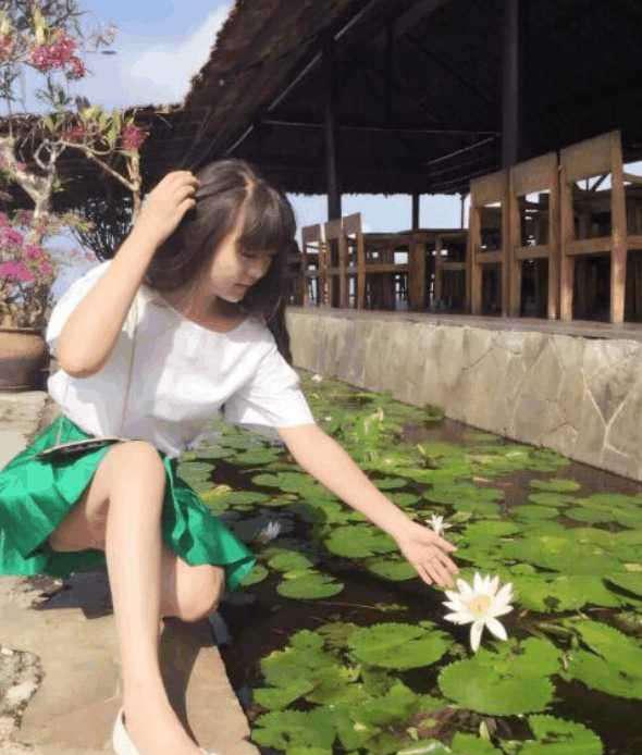 停止 视频缩略图