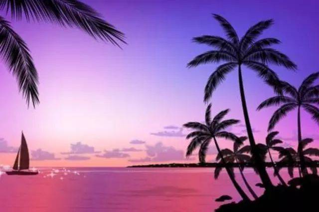 伏魔战士 视频缩略图