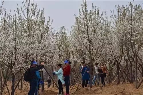 偶然与想象 视频海报