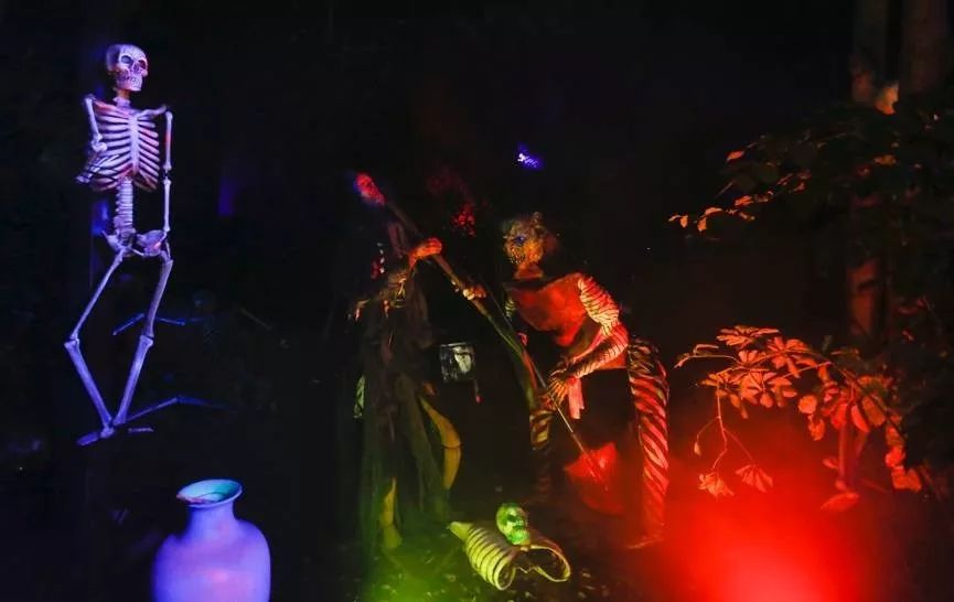 你好，疯子！ 视频缩略图