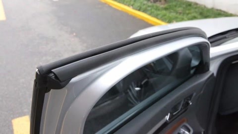 伯顿先生 视频缩略图