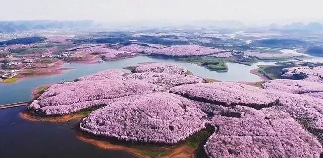 偶像先生 视频缩略图