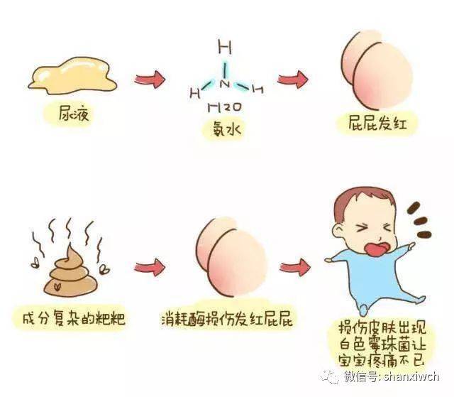 偷狗的完美方法 视频缩略图