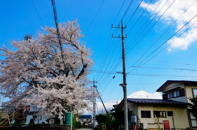 大佬攻略 2024 视频海报