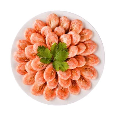 佐罗 视频缩略图