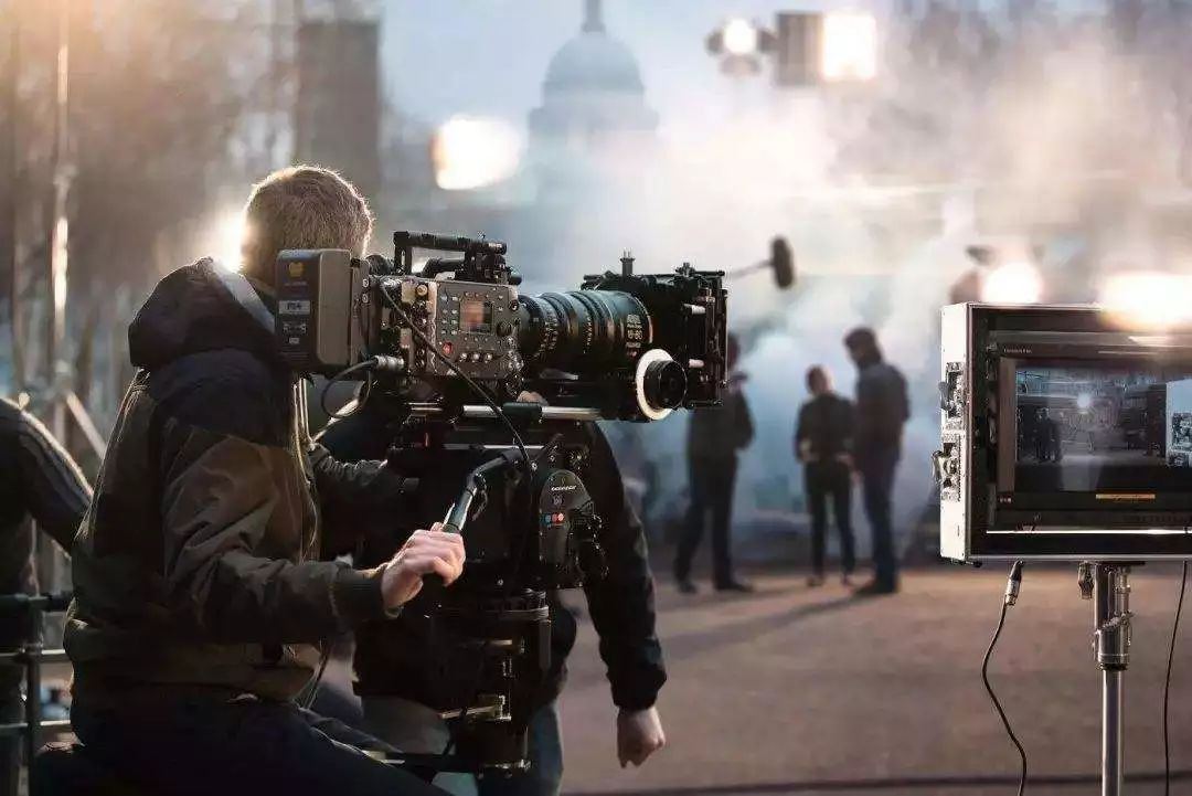 万花迎春 视频主图