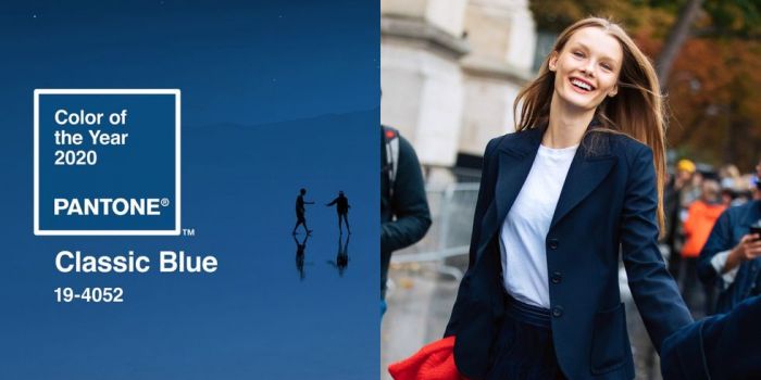 侠肝义犬（国语版） 视频缩略图