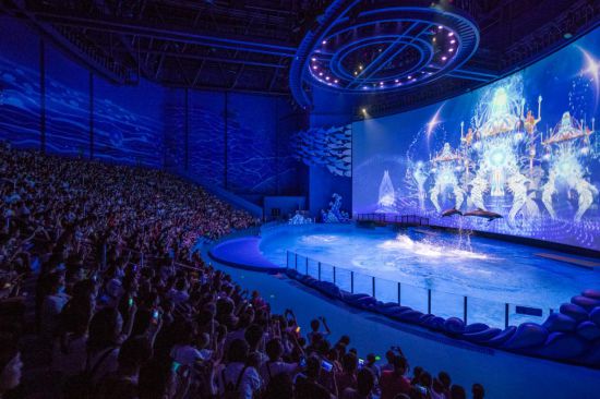 傀儡侦探 视频缩略图