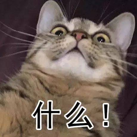 停止 视频缩略图