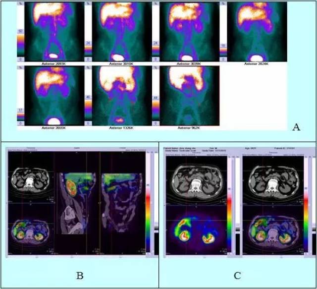 你好，树公主 视频缩略图