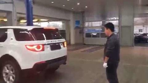 你好，树公主 视频缩略图