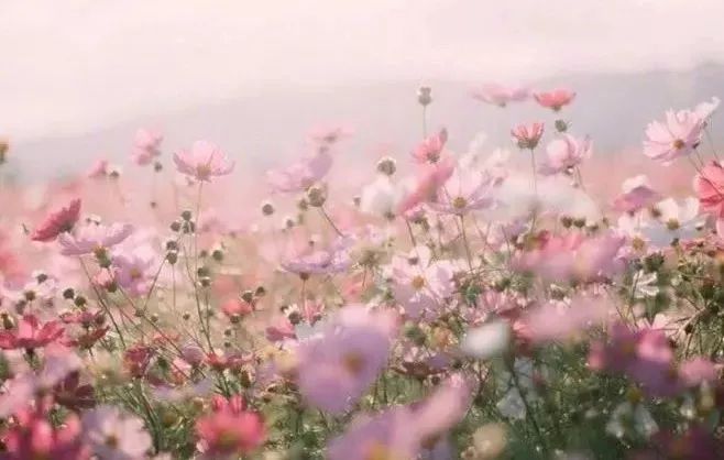 冰山一角 视频海报