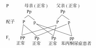 反悔枪手 视频海报
