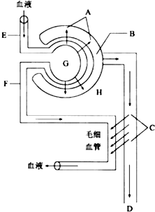圣诞精灵 视频缩略图