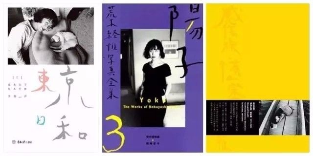 佛罗里达乐园 视频缩略图