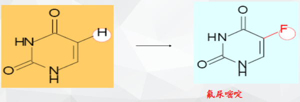 仲夏夜惊魂 视频缩略图