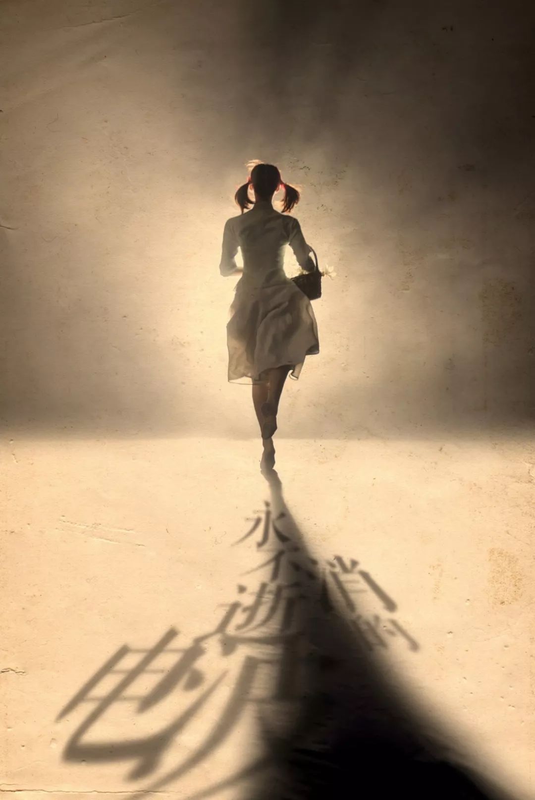 再起风云 视频海报