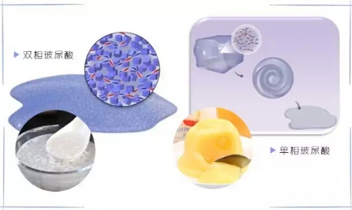 东北虎 视频主图