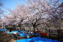 倚天屠龙记之圣火雄风 视频缩略图