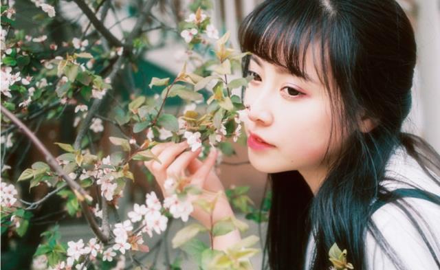 冰雪女王5：融冰之战 视频海报