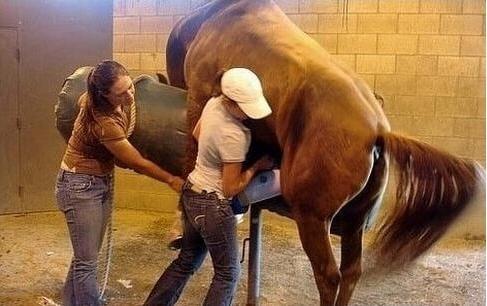 喜剧人之冒牌杀手 视频缩略图