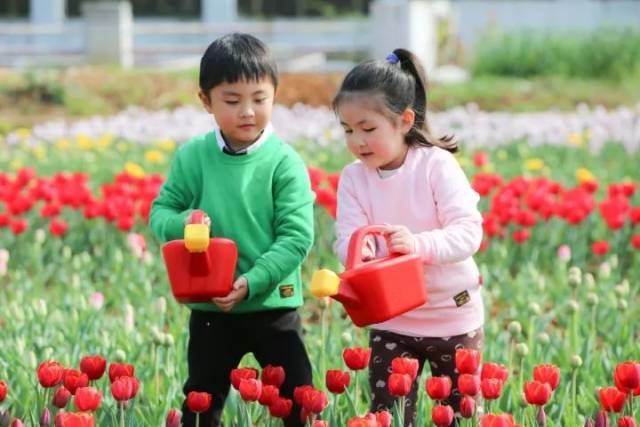 命运无常 视频缩略图