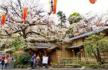 你失去的部分 视频主图