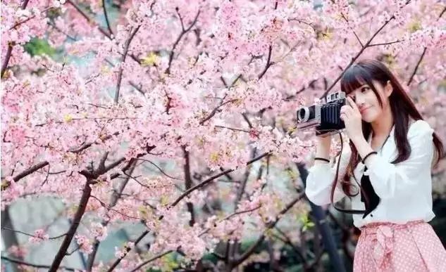 修补生活 视频海报