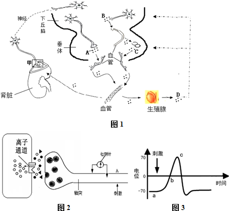 你是我的春天 视频缩略图