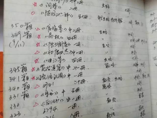 借来的100天 视频缩略图