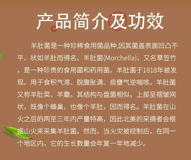 壮志者凌云 视频缩略图