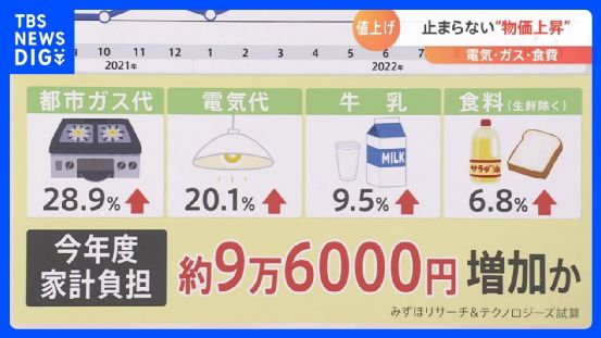 佩剑将军 视频海报