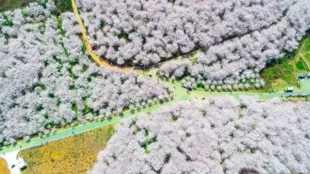 壮志者凌云 视频缩略图