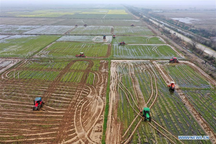 伯顿先生 视频缩略图