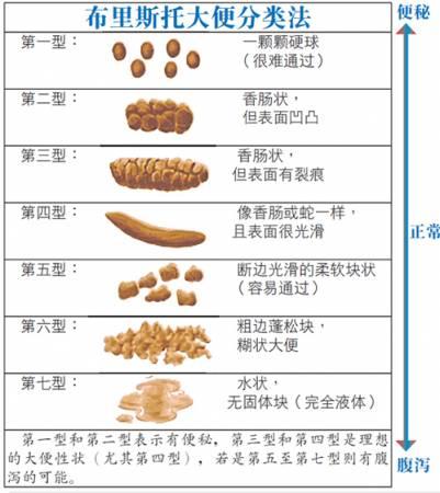圣诞特攻队 视频缩略图