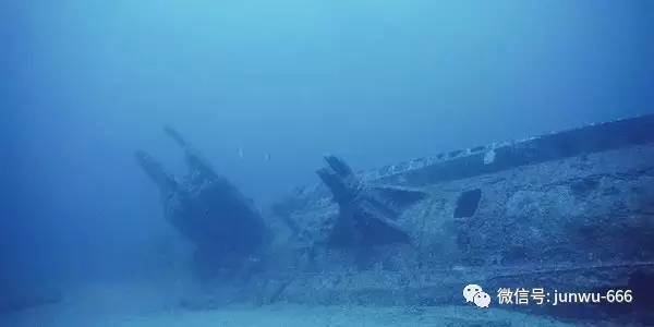 冲浪企鹅 视频缩略图