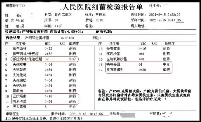 兄弟的判决 视频缩略图