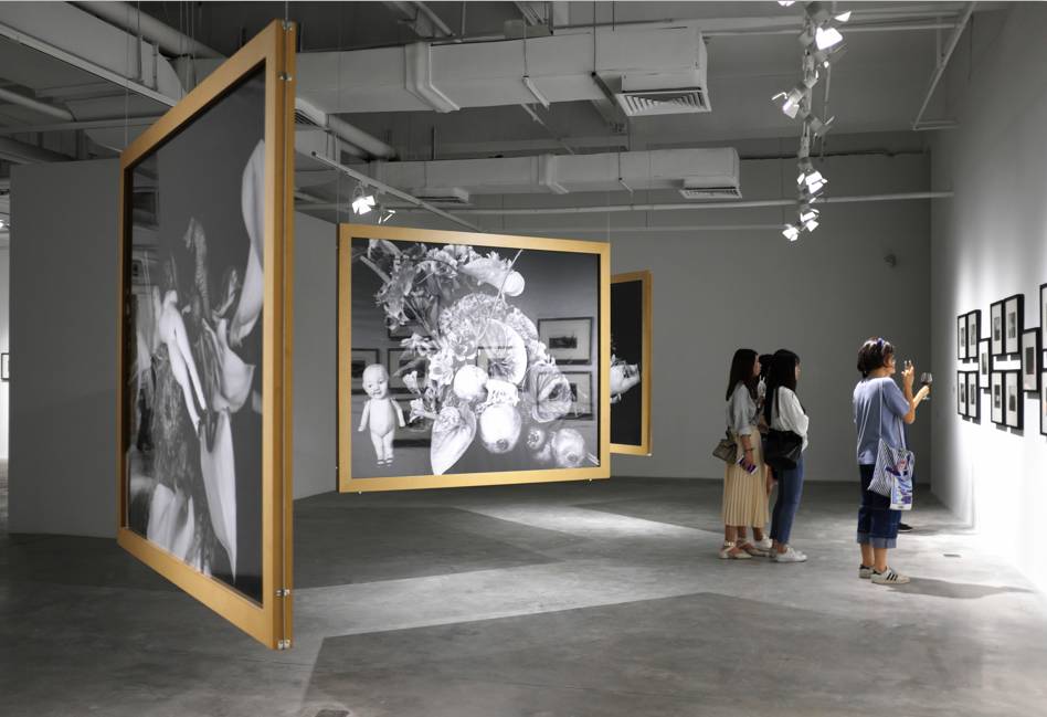 代孕帝国 视频缩略图