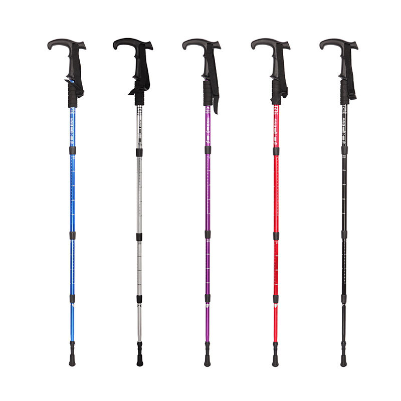 倩女仙缘2 视频缩略图