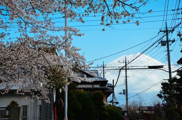 变形金刚5：最后的骑士（原声版） 视频缩略图