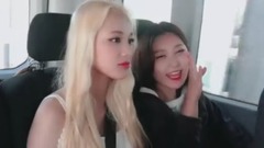 企业动物 视频海报