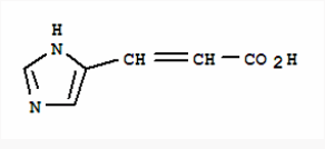 古玩大亨 视频缩略图