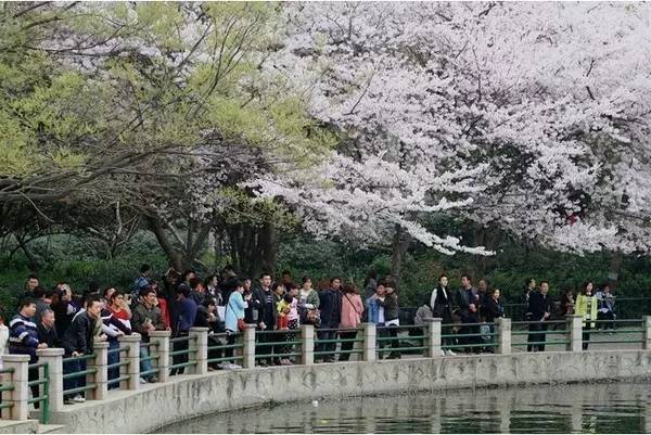 余笙是你 视频缩略图