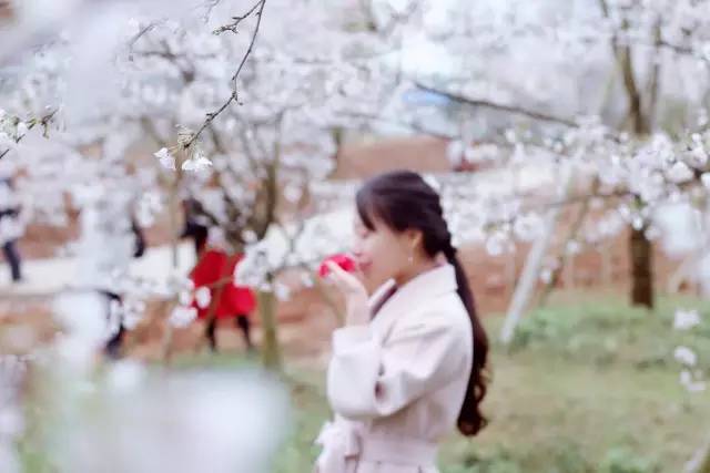 使命召唤 视频缩略图