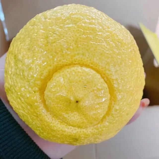 你的颜色 视频缩略图