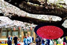 冰雪奇缘（粤语版） 视频缩略图