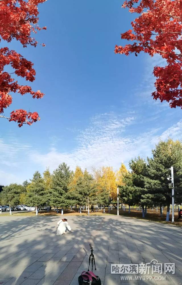 壮志者凌云 视频缩略图