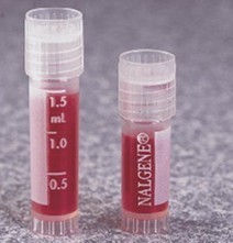 伪恋2018 视频缩略图