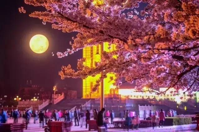 你遗落的蓝天 视频缩略图