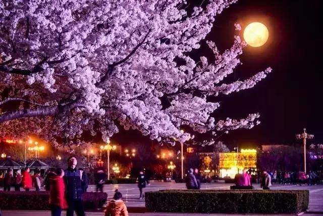 凡人烦恼 视频主图